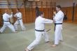 Spoluprca Slovenskej federcie karate a bojovch umen s Leou